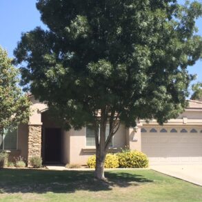 $1525 -13420 Ridgeway Meadows Dr., Bakersfield, CA 93314 rented northwest home
